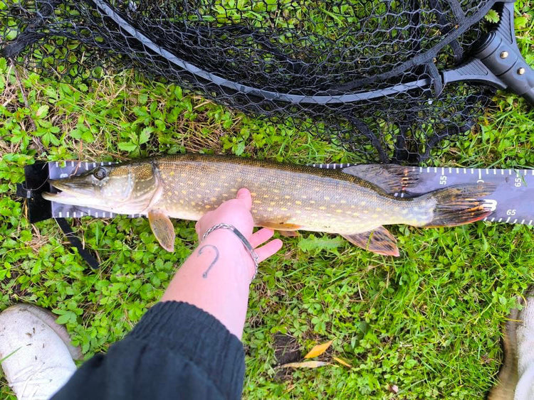 Gummifische 125 mm