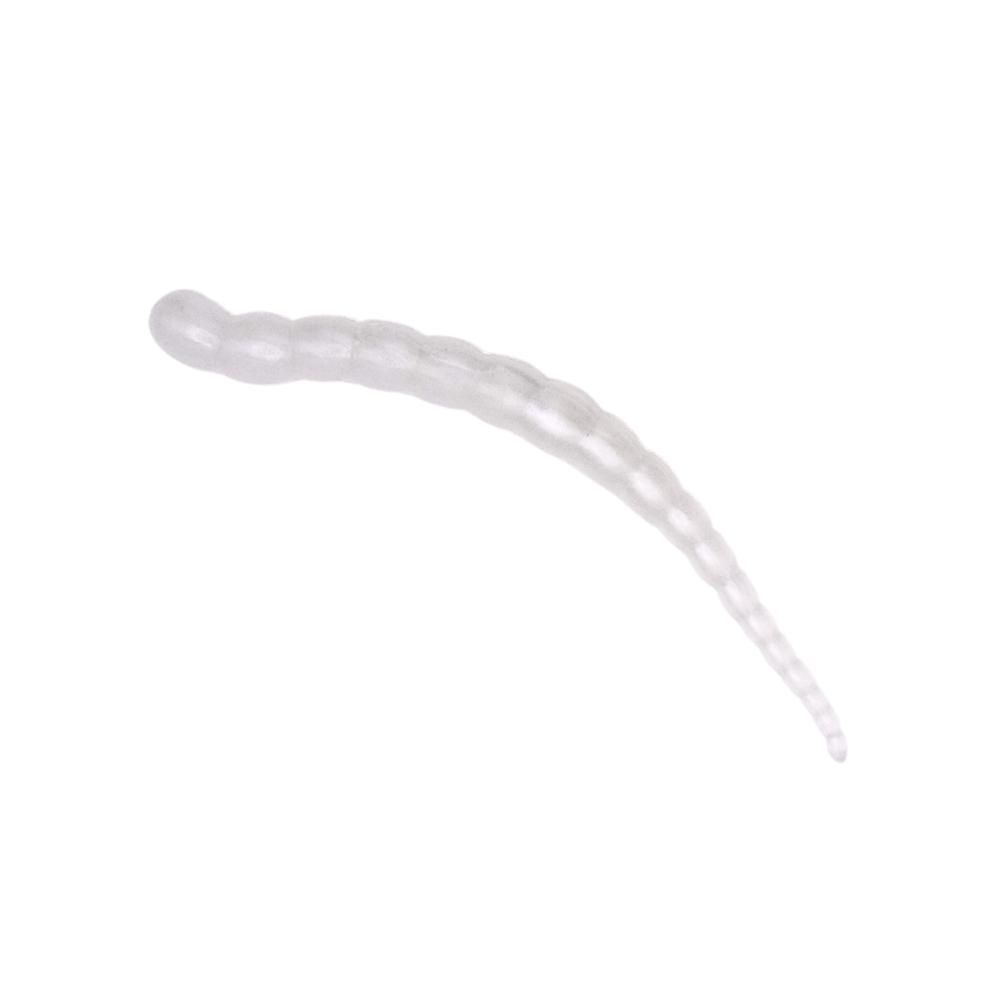 Segworm