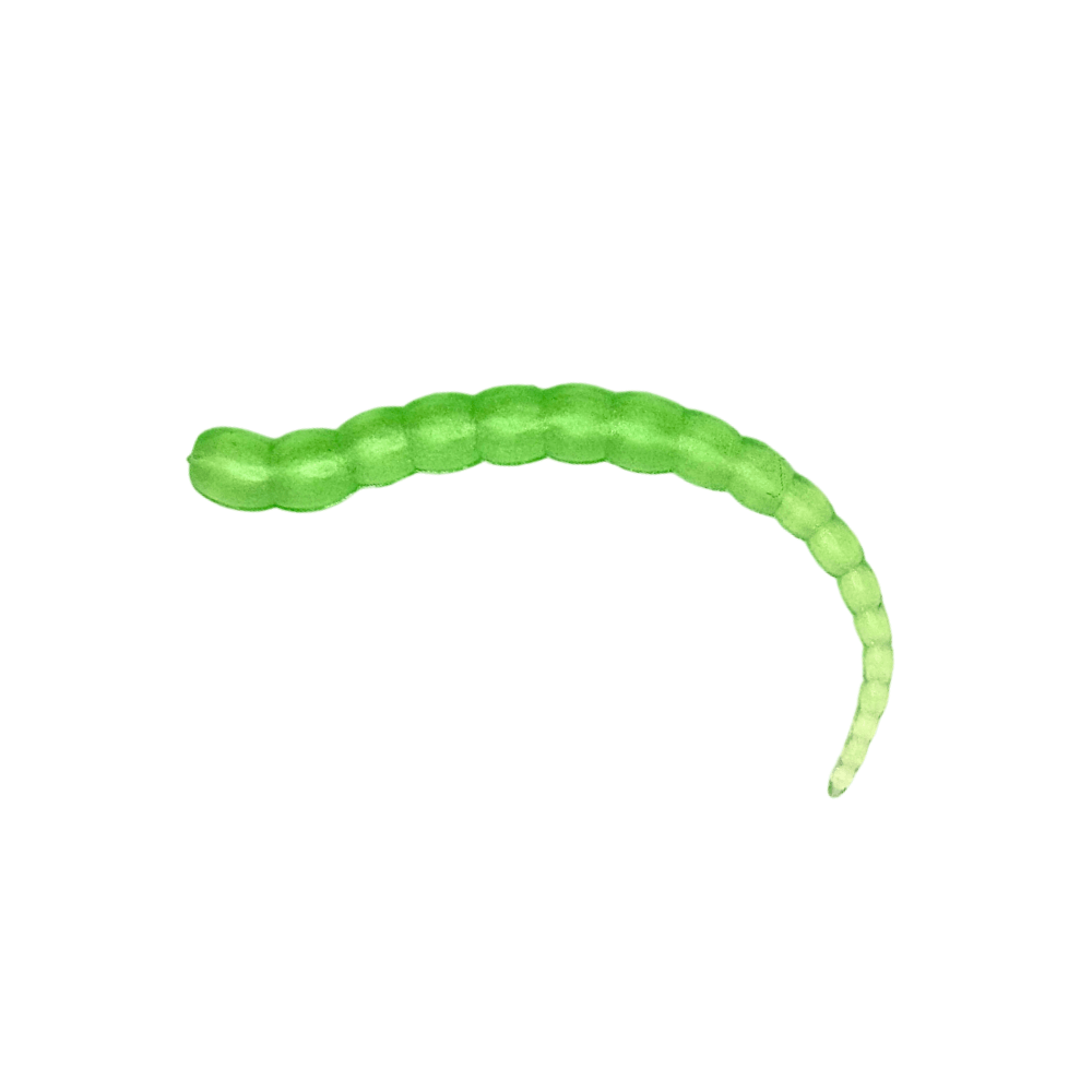 Segworm