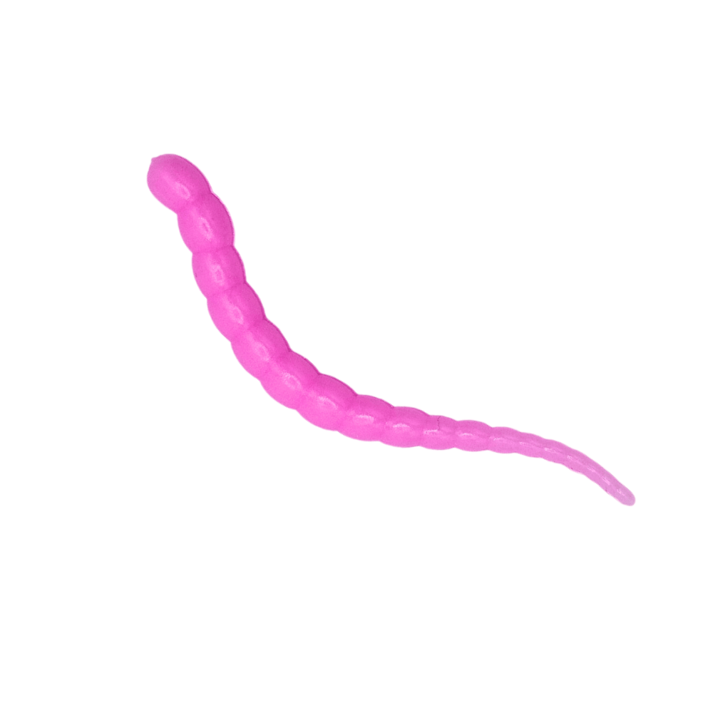 Segworm