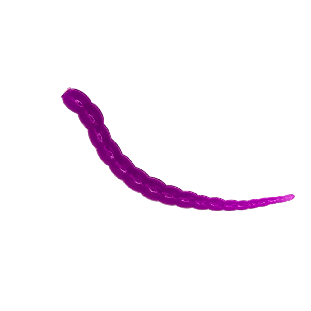 Segworm