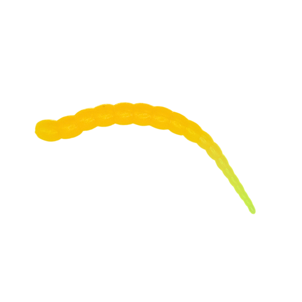 Segworm