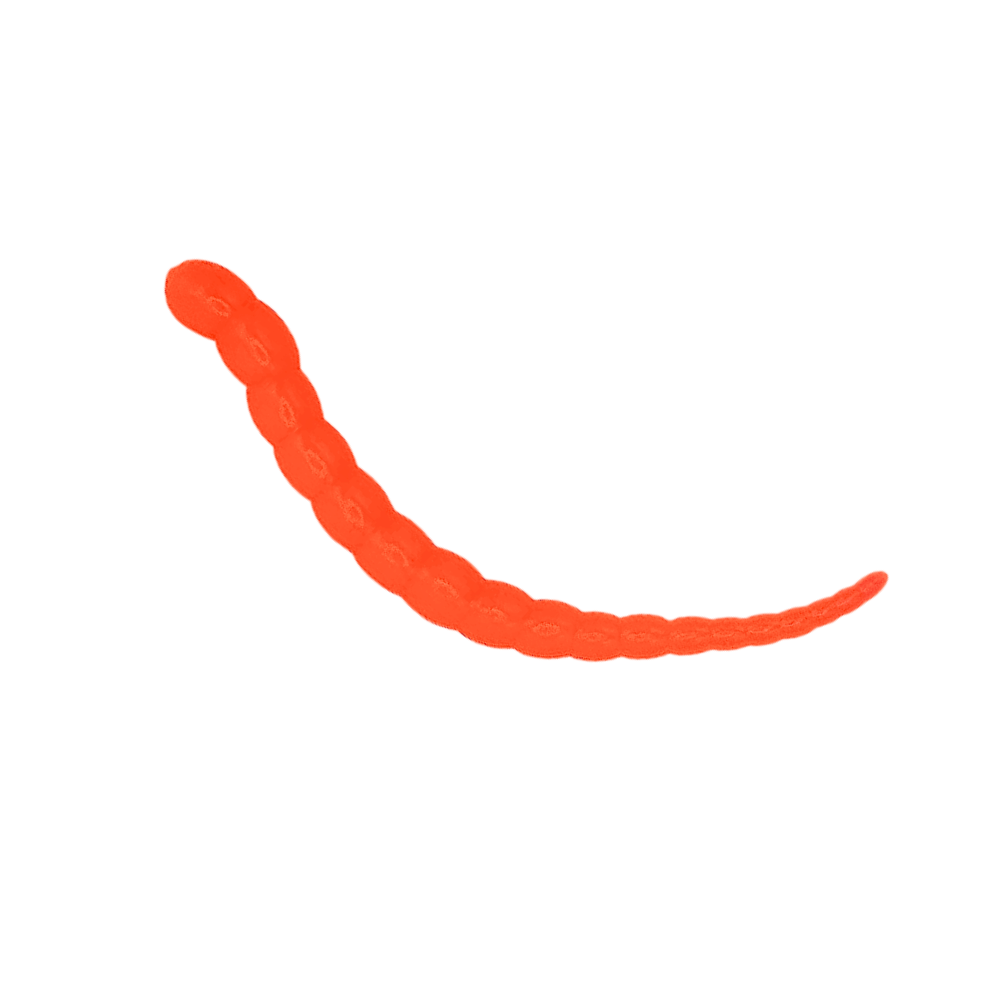 Segworm