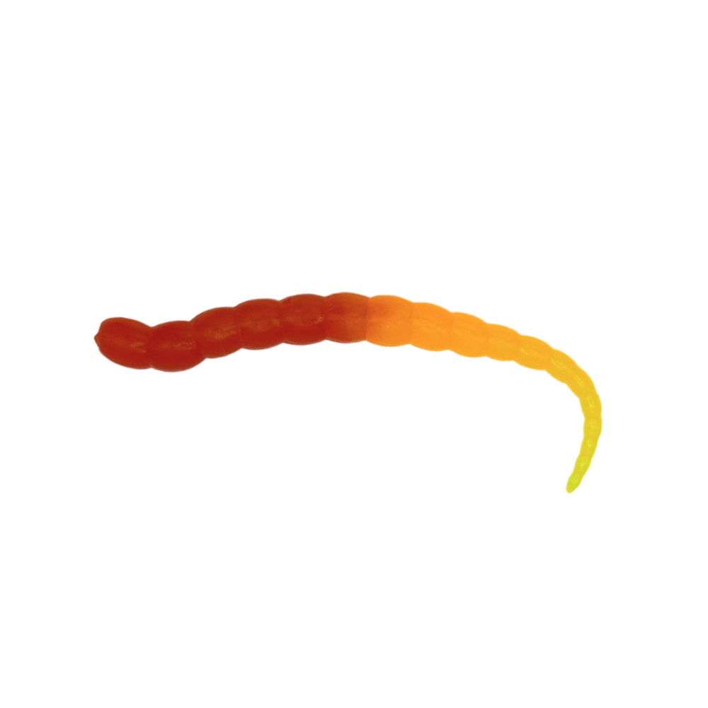 Segworm