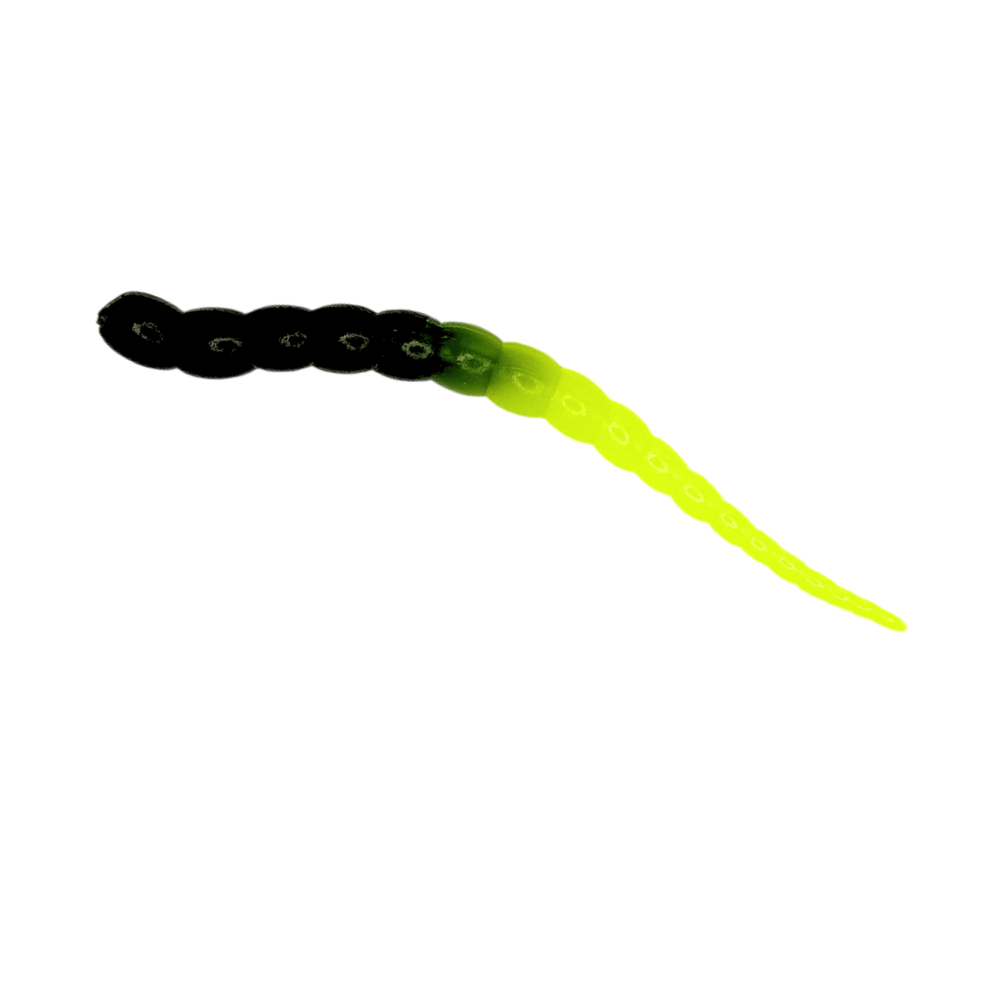 Segworm