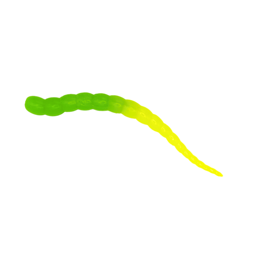 Segworm
