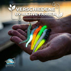 Segworm 8 cm – 12 Stück Farbmix 1 (SWM1)
